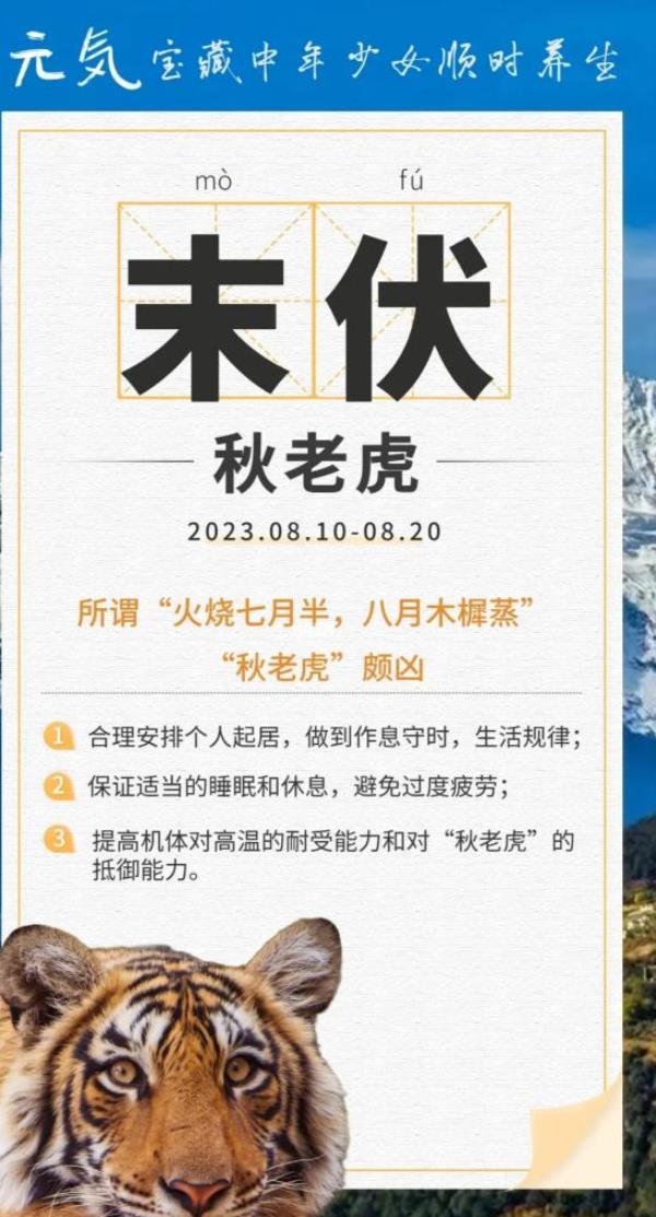 2023年的三伏天日期已经确定，初伏是从7月11日到7月20日